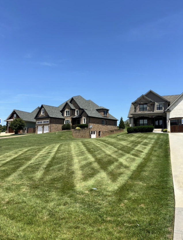 Striped side yard